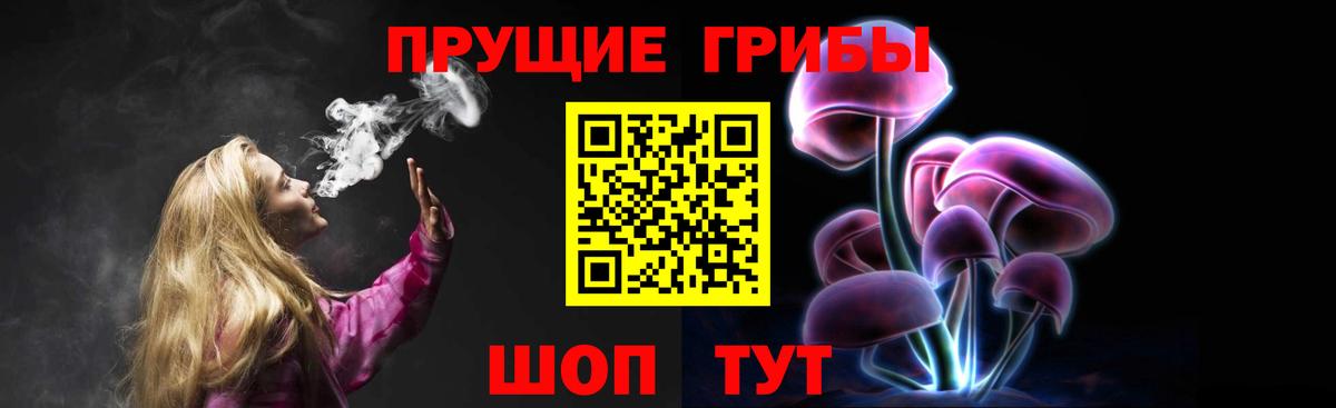 где купить наркоту  Галлюциногенные грибы Psilocybine cubensis  Вход с VPN  Урюпинск 